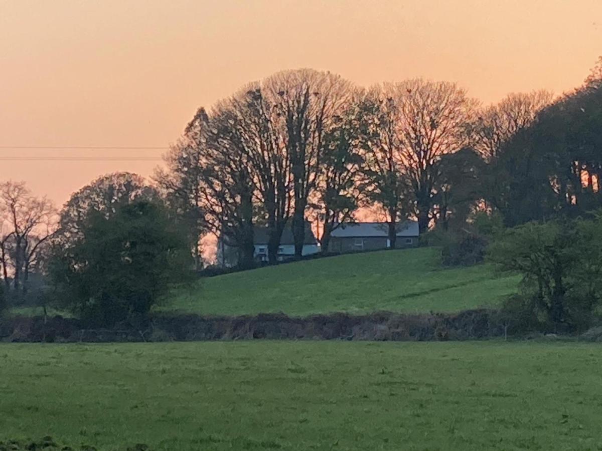 The Cottage Cork Exterior photo